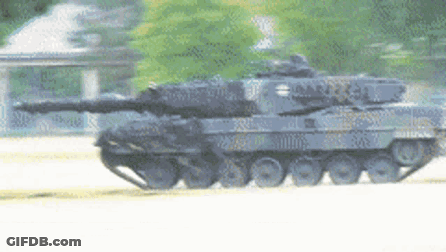 Leopardczolg GIF