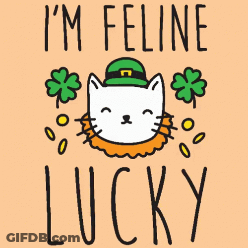 Leprechaun Cat I'm Feline Lucky GIF