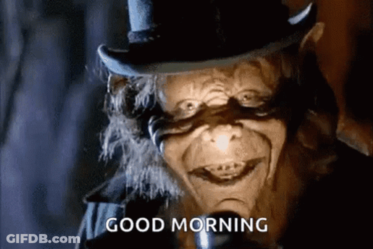 Leprechaun Good Morning GIF