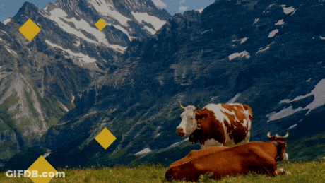 Leprechaun Holding Luck Of The Irish Sign GIF