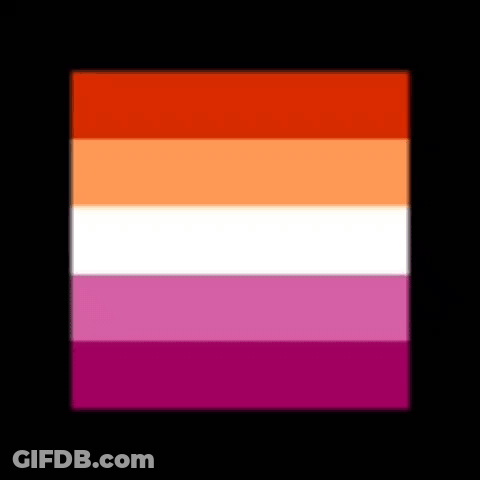 Lesbian Flag Red Orange White Purple Stripes GIF