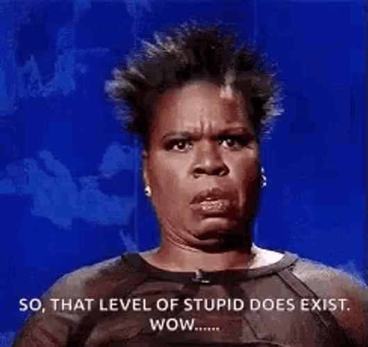 Leslie Jones Surprised On Stupid Level GIF