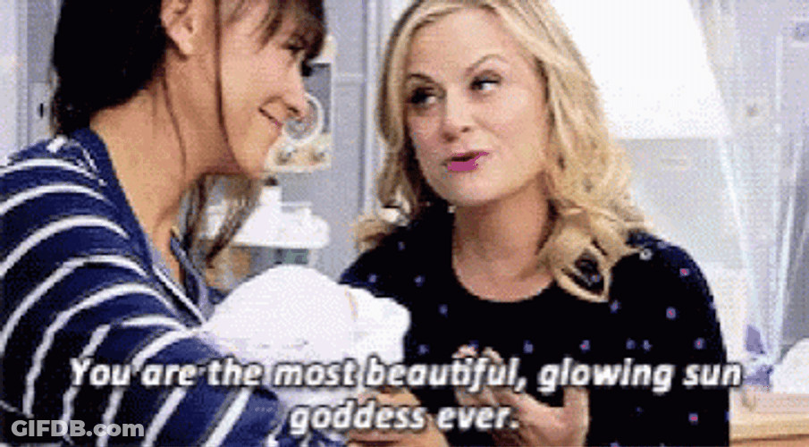 Leslie Knope And Ann GIF