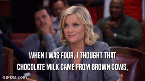 Leslie Knope GIF