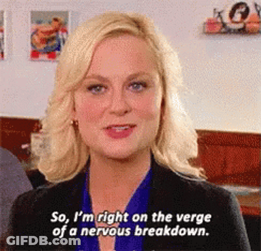 Leslie Knope Lossing It Mental Breakdown GIF