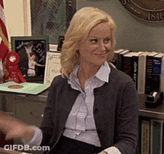 Leslie Knope Wave GIF