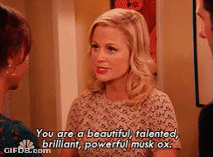 Leslie Knope You Are A Beautiful GIF