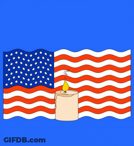 Lest We Forget Their Sacrifice And Protect Democracy GIF
