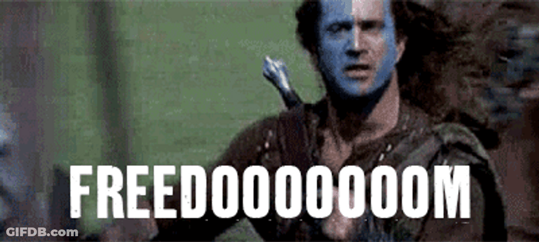 Let Freedom Ring Mel Gibson Braveheart GIF