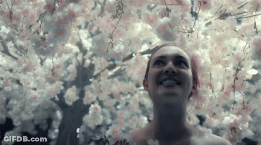 Let Freedom Ring Nicole Haught Wynona Earp GIF