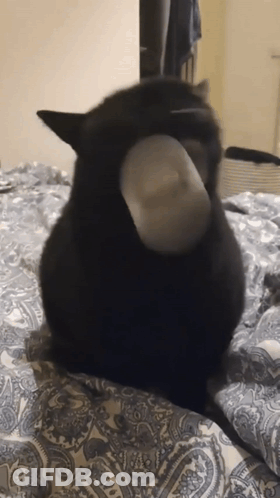 Let Me Break It Down For You Real Quick GIF