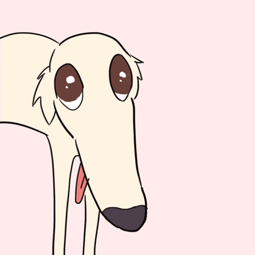 Let Me Do It For You White Dog GIF