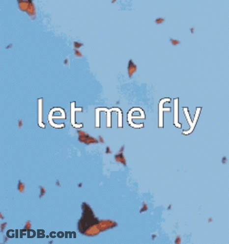 Let Me Fly Butterflies GIF
