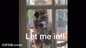 Let Me In Trapped GIF