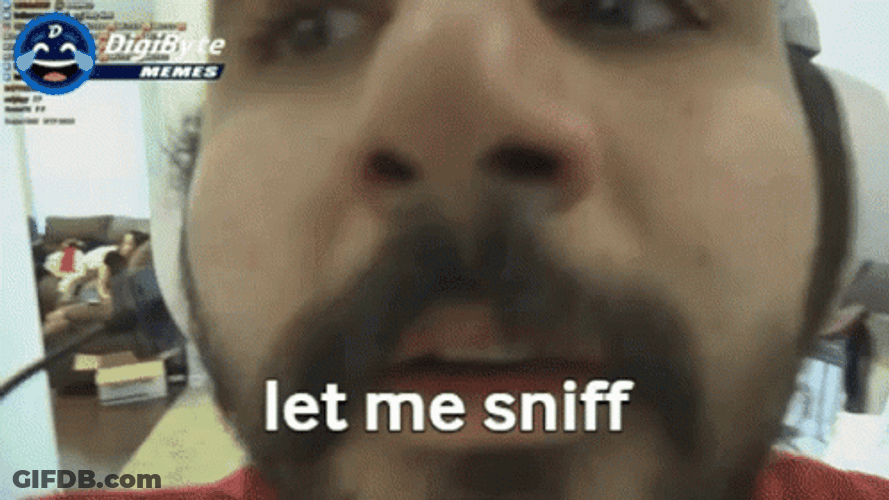 Let Me Sniff GIF