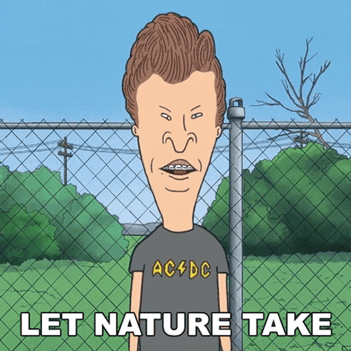 Let Nature Take Its Course Butt-Head GIF