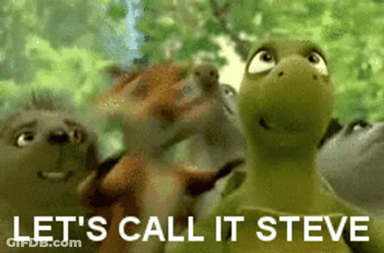 Let's Call It Steve GIF