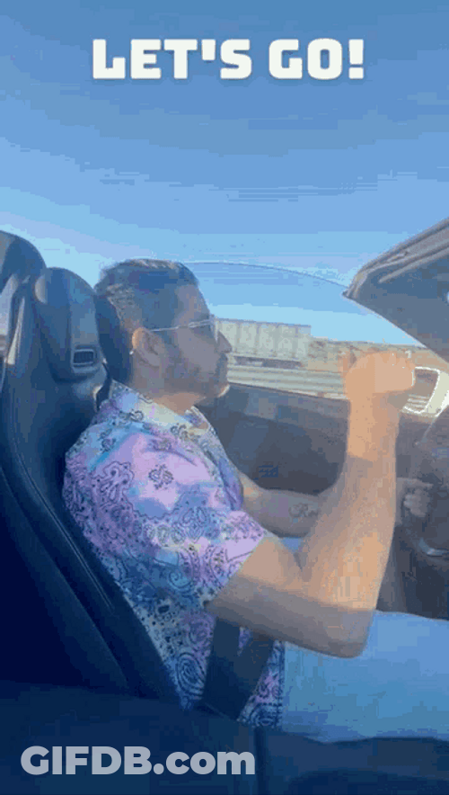 Let's Go Driving GIF