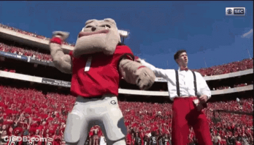 Let's Go Georgia Football Team GIF