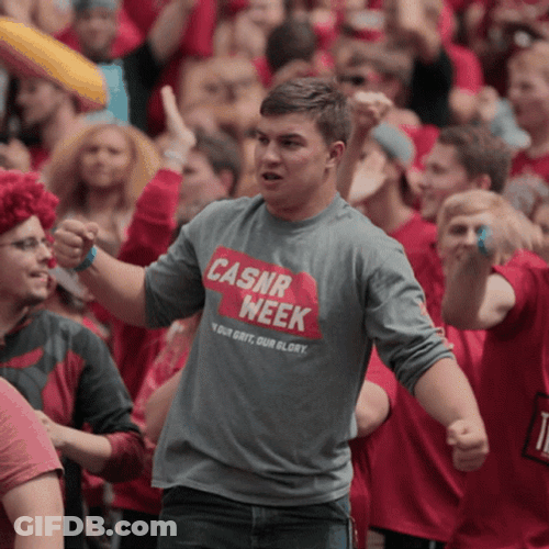Let's Go Huskers Week GIF