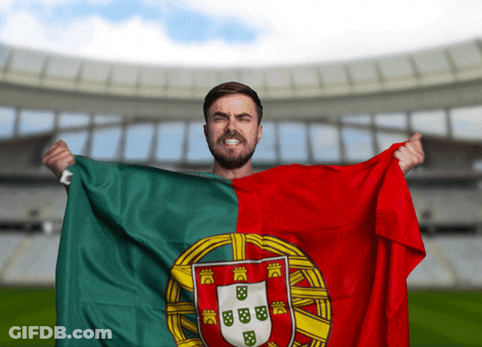Let's Go Pepe Portugal Football GIF