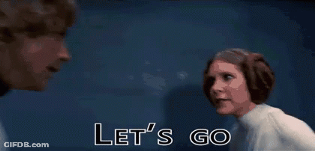 Let's Go Princess Leia Star Wars GIF