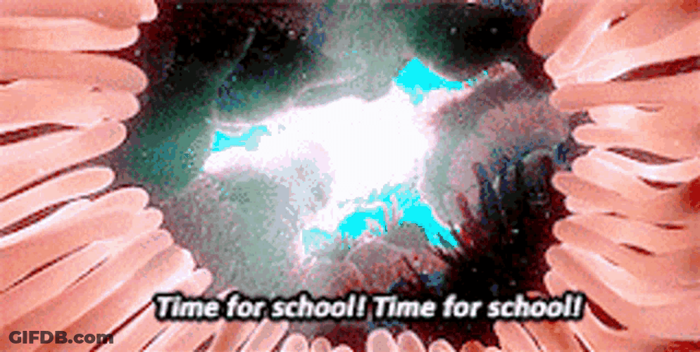 Let's Go Wake Up Nemo GIF
