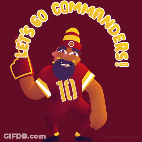 Let's Go Washington Commanders GIF