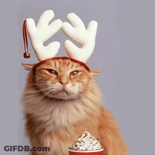 Let's Grab Drinks On Starbucks Red Cup GIF