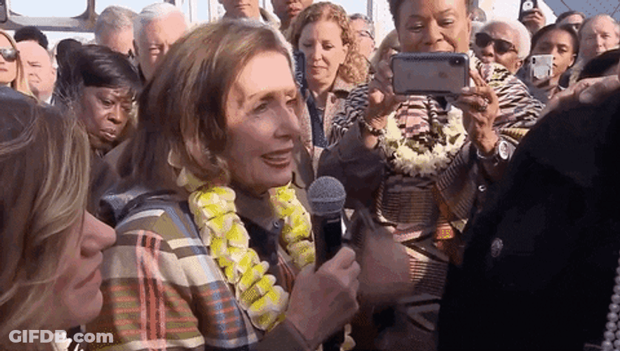 Let's Hear It For Nancy Pelosi GIF