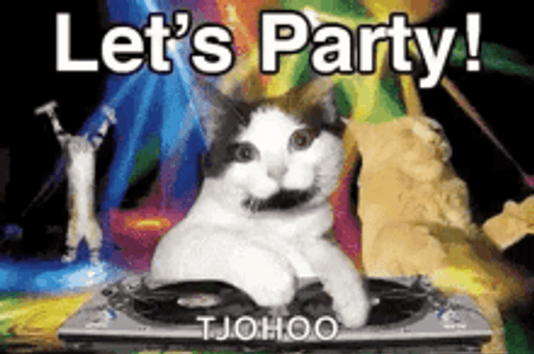Let's Party Funny Disc Jockey Cat GIF