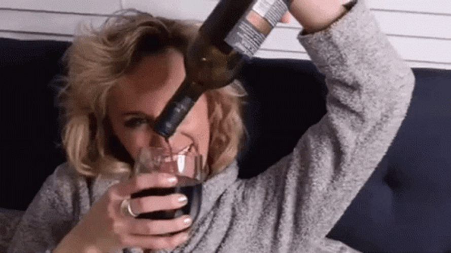 Let's Party Wine Drink GIF