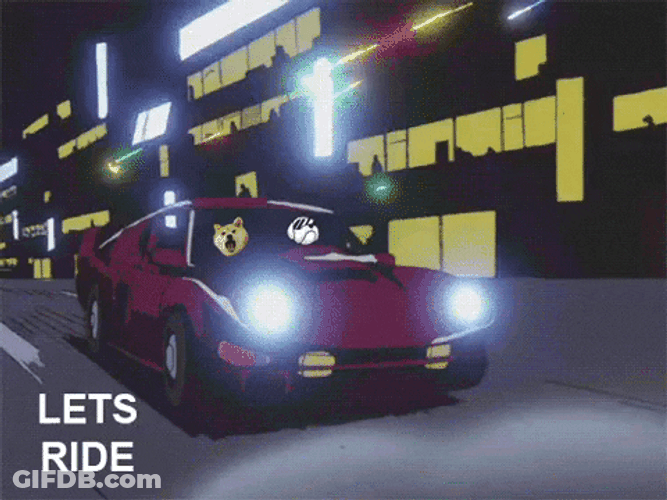 Let's Ride Dogs In A Moving Car GIF