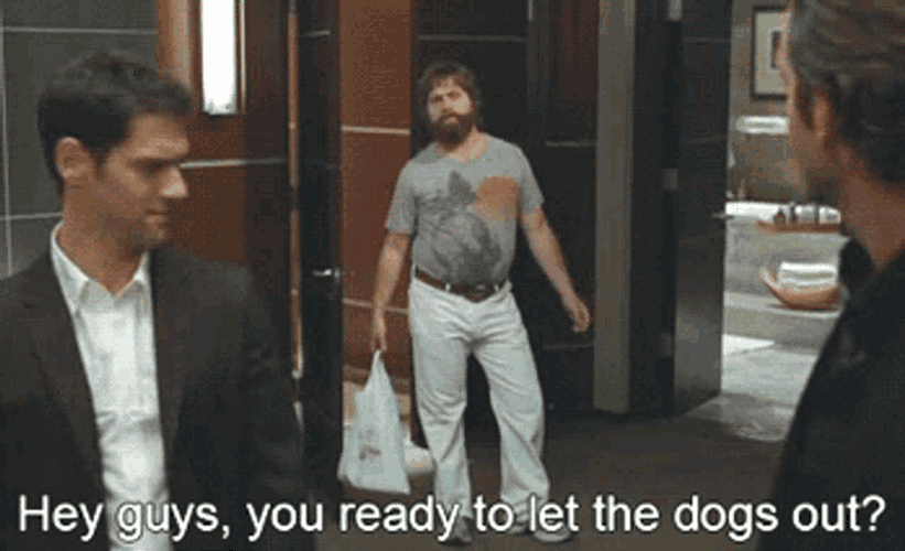 Let The Dogs Out Are You Ready GIF