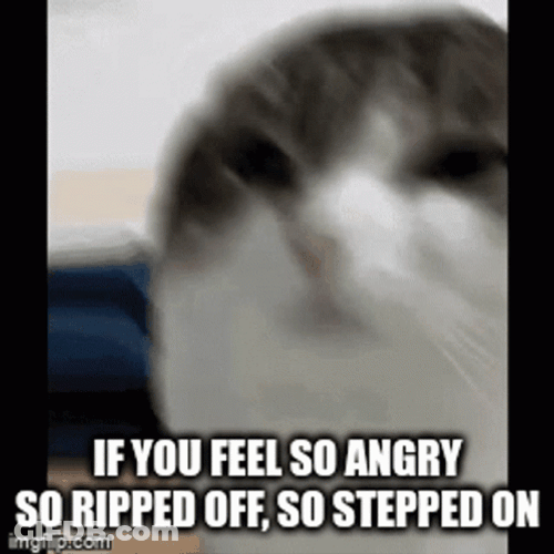 Let The Hate Flow Through You Cute Cat GIF