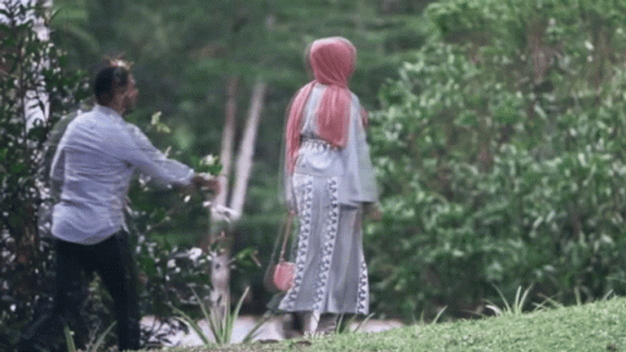 Let Them Fight Hijab Girl GIF