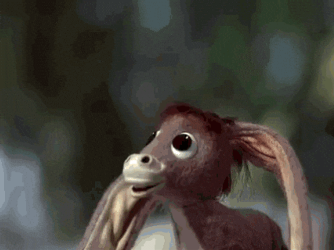Let There Be Light Blessed Donkey Animation GIF