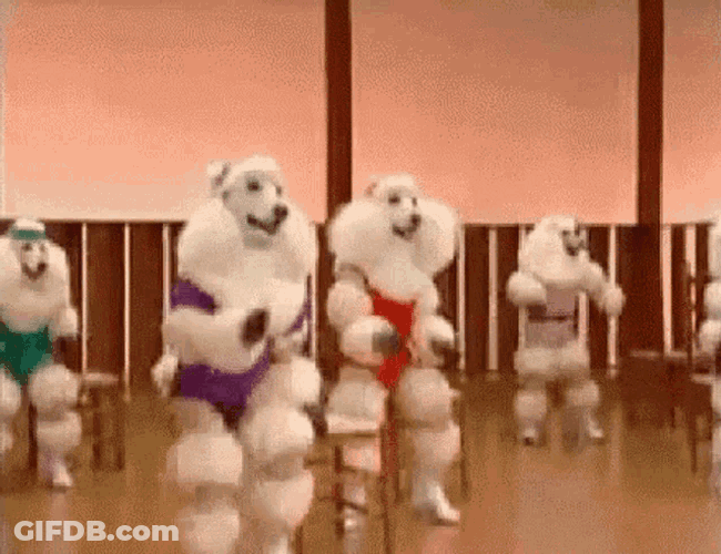 Lets Dance Dog GIF