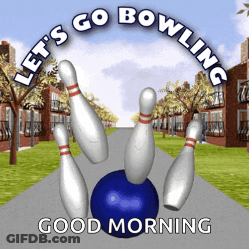 Lets Go Bowling Bowls GIF