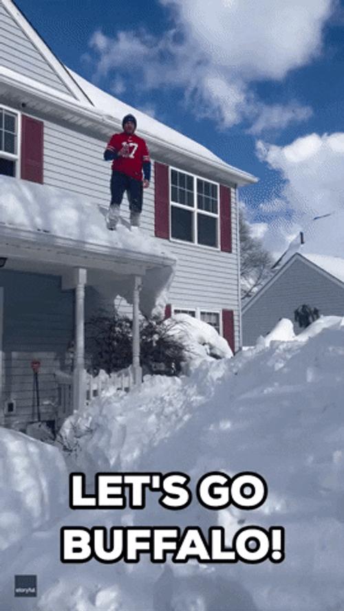 Lets Go Buffalo Snow Jumping GIF
