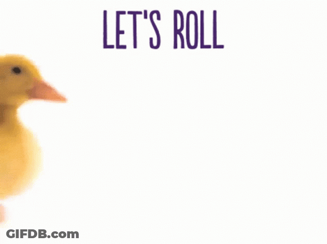 Lets Roll Duck And Pig Friends GIF