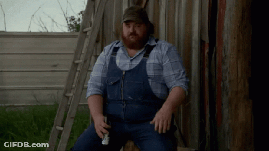 Letterkenny Iconic Allegedly Edit GIF