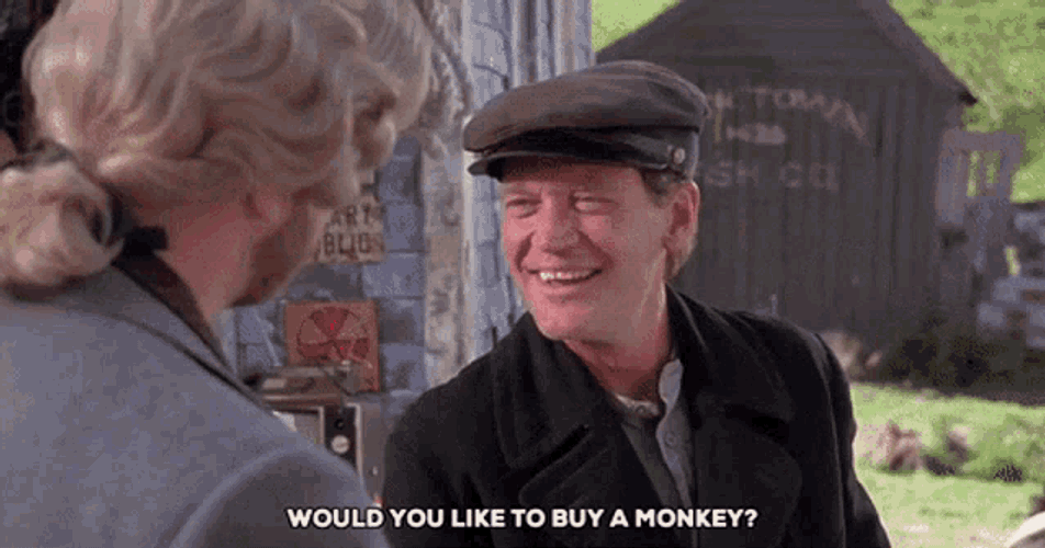 Letterman Monkey GIF