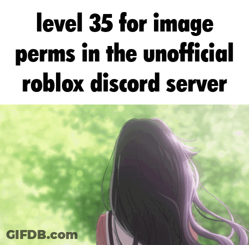 Level 35 Girl Roblox Discord GIF