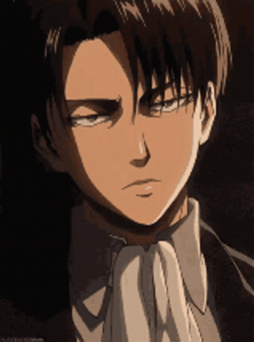 Levi Annoyed Reaction GIF