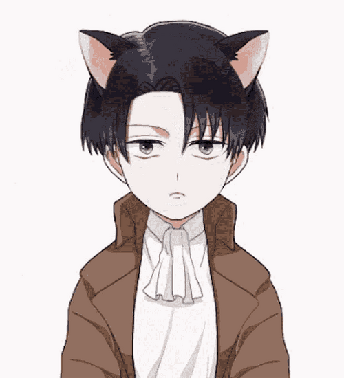 Levi Cat Animated Art GIF
