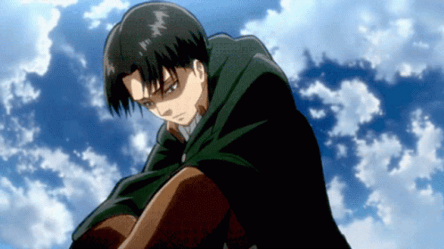 Levi Double Blade Sword GIF