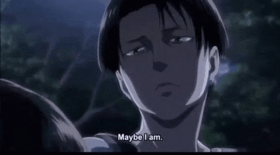 Levi Maybe I Am GIF