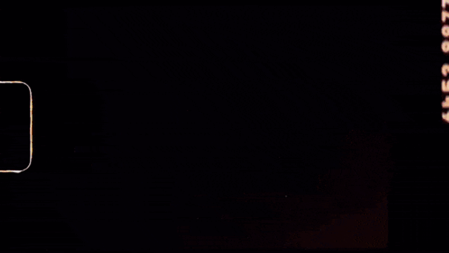 Levis 501 GIF