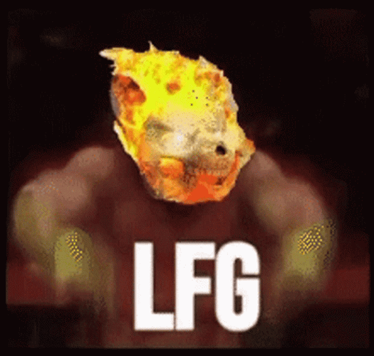 Lfg Fighting Ring GIF